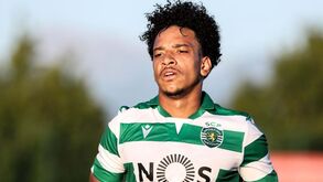 Luís Martins e o passado leonino de Matheus Pereira: «Foi sempre um jogador pouco querido»