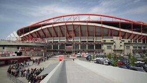 «Benfica irá defender-se de todas as acusações infundadas»: águias reagem ao caso do emails