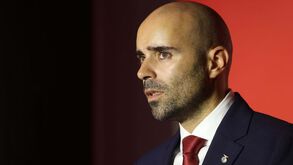 João Diogo Manteigas pede calma aos adeptos do Benfica: «Nada devem temer...»