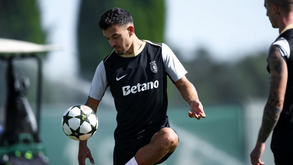 Pote de regresso no ataque à Áustria 