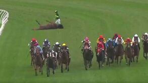 Cavalo colapsa a meio da corrida e jockey ajuda animal após queda