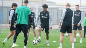 Morita 'apanha' o fotógrafo e Trincão 'dá boleia' a Franco Israel: as imagens do treino do Sporting na véspera da Champions
