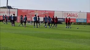 Renato Sanches novamente no relvado no treino do Benfica antes da receção ao Feyenoord