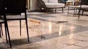 Altercações entre adeptos de Benfica e Feyenoord em unidade hoteleira junto ao Estádio da Luz