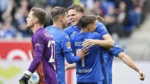 Uma ideia kamikaze: A análise de Rui Malheiro ao Hoffenheim, adversário do FC Porto