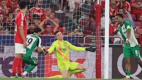 Derrota com o Feyenoord: terá sido um Benfica tão diferente do que aquele que goleou o At. Madrid?
