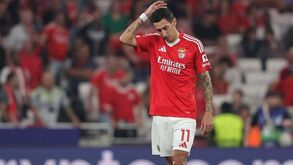 Holandeses surpreendidos com Otamendi e Di María: «Uma desilusão»