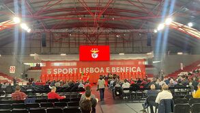 Revisão dos estatutos do Benfica: Assembleia Geral termina por hoje