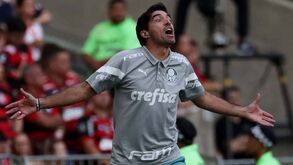 Abel Ferreira volta a visar jornalistas no Brasil: «Profetas do acontecido»