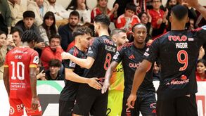 Lúcio Rocha aplica 'lei do ex' ao Caxinas e Benfica mantém invencibilidade na Liga Placard