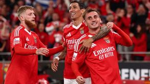 «Após a derrota na Champions apareceu a esquizofrenia benfiquista...»