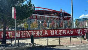 Estádio da Luz acorda com nova pintura nos muros