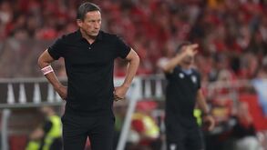 Roger Schmidt perto de voltar ao ativo? Ex-treinador do Benfica apontado ao Dortmund 