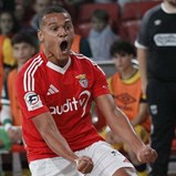 Benfica 'esfomeado' segue invencível na Liga Placard