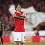 A crónica do Benfica-Estrela da Amadora, 7-0: passeio Di bicicleta no parque da Luz