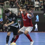 Sporting empata com o Sp. Braga e apura-se para a final four da Liga dos Campeões de futsal