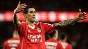 Di María fresco como o vinho