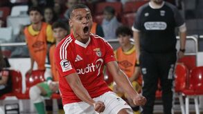 Benfica 'esfomeado' segue invencível na Liga Placard