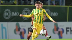 Rodrigo Ramos e a boa fase do Tondela: «Queremos continuar invencíveis»