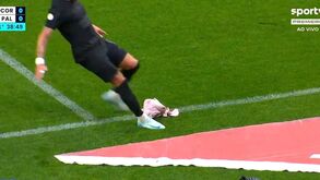 O impensável aconteceu: adeptos do Corinthians mandam cabeça de porco para o relvado no dérbi com o Palmeiras