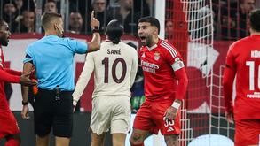 Os casos do Bayern-Benfica