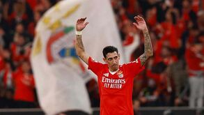 Di María: «Na Champions não fomos nós e hoje voltámos a ser o Benfica»