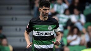 Luís Neto confirmado na equipa técnica de João Pereira