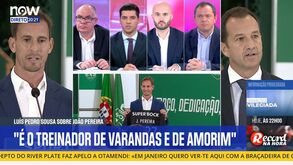 Luís Pedro Sousa: «João Pereira é o treinador de Varandas e de Amorim»