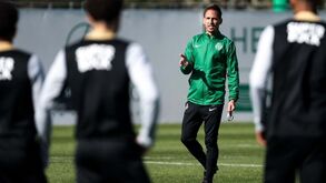 ANTF não reconhece João Pereira como treinador do Sporting e avança com denúncia