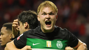 Harder guarda Amorim no coração: «É um treinador 'top' e lamento que tenha ido embora»