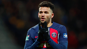 Gonçalo Ramos cada vez mais perto do regresso à competição