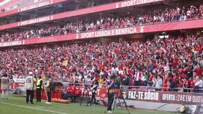 Estádio da Luz volta a receber dérbi feminino entre Benfica e Sporting