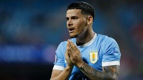 Marcelo Bielsa fiel a si próprio: Franco Israel no banco e Maxi Araújo titular contra o Brasil