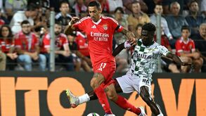 Futebol de regresso a sinal aberto: jogos do Moreirense em casa vão ser transmitidos na TVI a partir de 2025