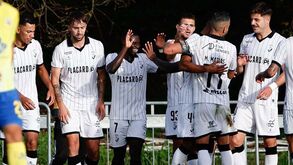 A crónica do Arouca-Farense, 1-2: faro para o golo amansou os lobos