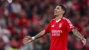 As notas dos jogadores do Benfica frente ao E. Amadora: águia enche barriga em assado argentino