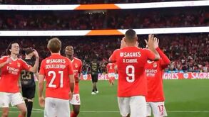 O vídeo de apoio a Arthur Cabral que a equipa técnica do Benfica está a partilhar