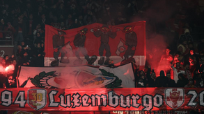 Esperados mais de 1.000 adeptos benfiquistas no Mónaco