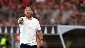Diogo Boa Alma elogia trabalho de Vasco Matos: «Tem carisma e um caráter forte, mas acima de tudo é um líder»