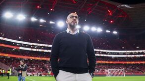 José Faria garante E. Amadora preparado após goleada na Luz: «Foi uma semana normal»