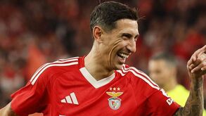 António Simões convencido com renovação de Di María: «Que continue a deliciar-nos»