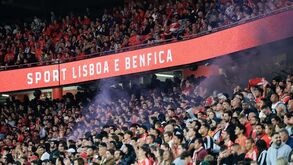 Rui Costa anuncia que lotação do Estádio da Luz vai aumentar para 70 mil lugares