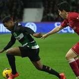 Mais galo para um leão que perdeu alma