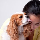 Dono stressado, cão ansioso: o impacto do nosso stress nos cães