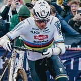 Mathieu van der Poel intratável no ciclocrosse: cinco provas, cinco vitórias