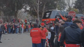 «Que sejas campeão, Benfica!»: o pedido dos adeptos das águias em Arouca na chegada do autocarro 