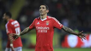 As notas dos jogadores do Benfica frente ao Arouca: na casa do pai Tomás há sempre Angelito