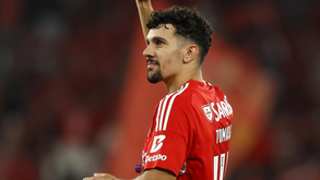 Renovação de Tomás Araújo com o Benfica está bem encaminhada