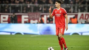 «António Silva é um jogador interessante»: diretor-desportivo da Juventus elogia central do Benfica