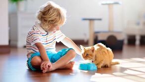 Sabia que os animais contribuem (e muito) para o desenvolvimento das crianças? Todas as dicas... e um toque de humor